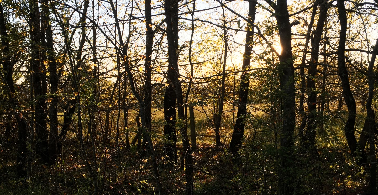 Sur 6 hectares de verdure